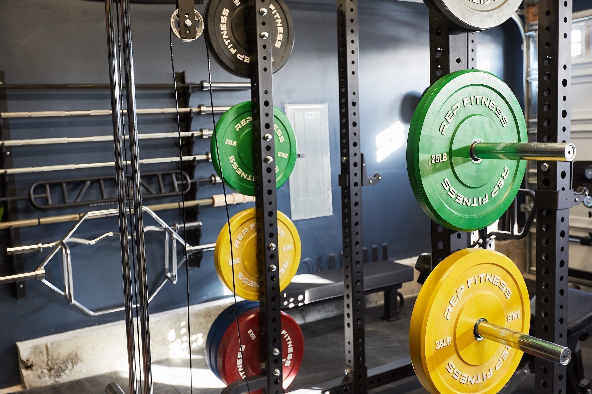 Competition Bumper Plates (KG) | REP Fitness – REP FITNESS EU